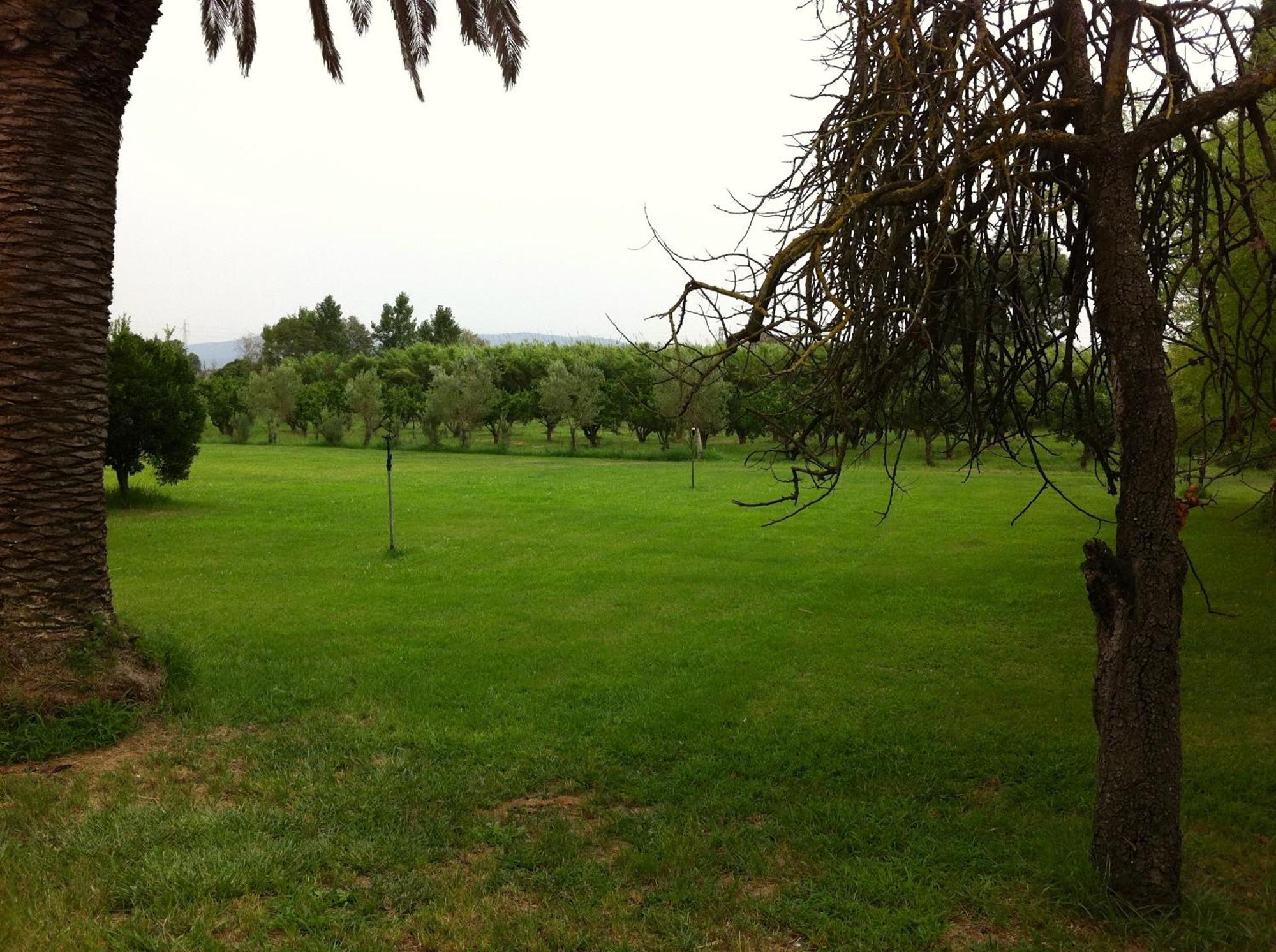 Agriturismo Il Giglio Oristano Eksteriør bilde